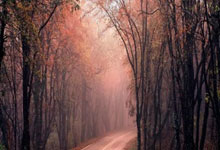 爱游戏网址-亚洲女足联赛升级,球员备战精度,亚洲女足联赛升级,球员备战精度怎么样