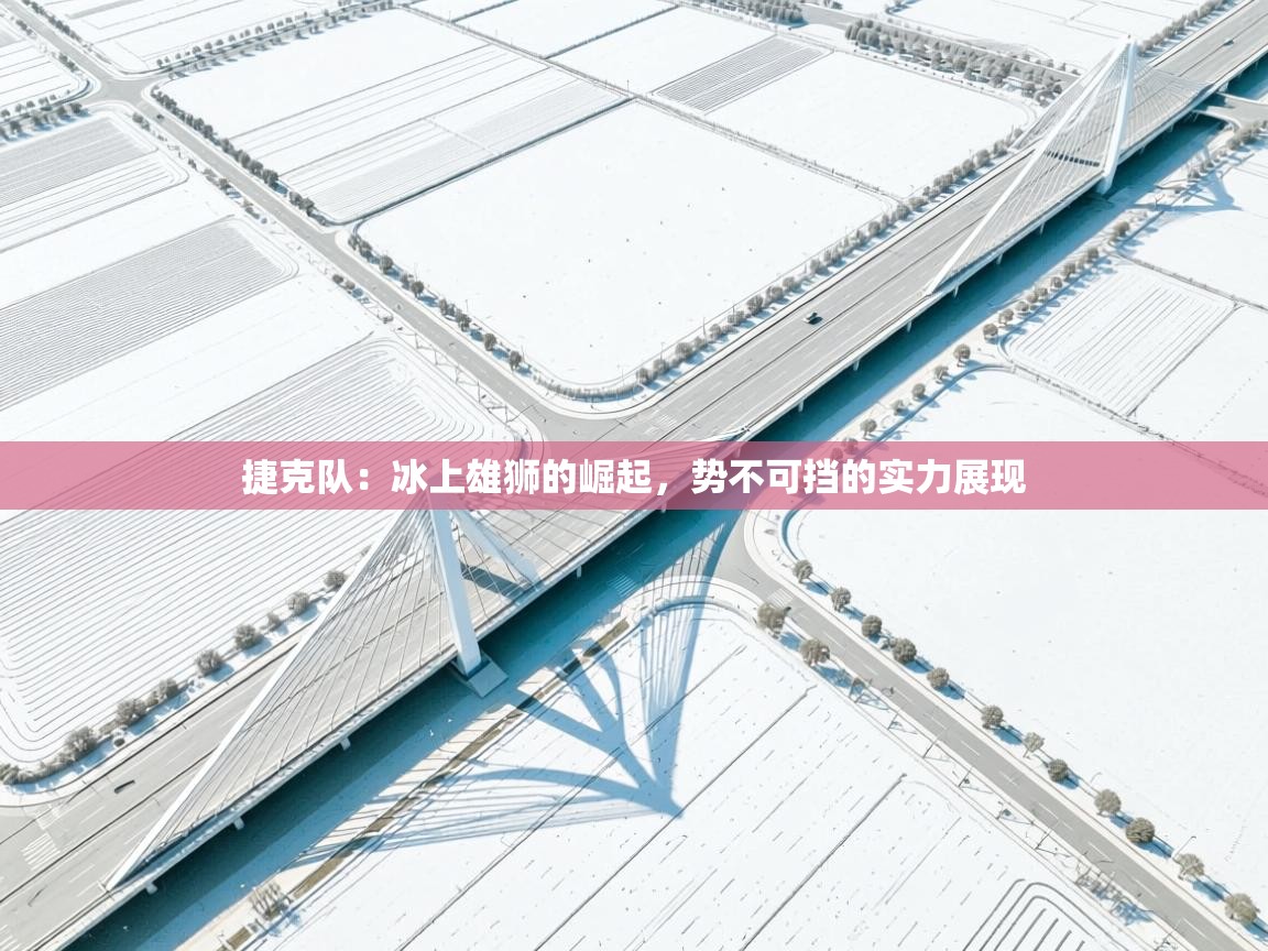 捷克队：冰上雄狮的崛起，势不可挡的实力展现  第1张