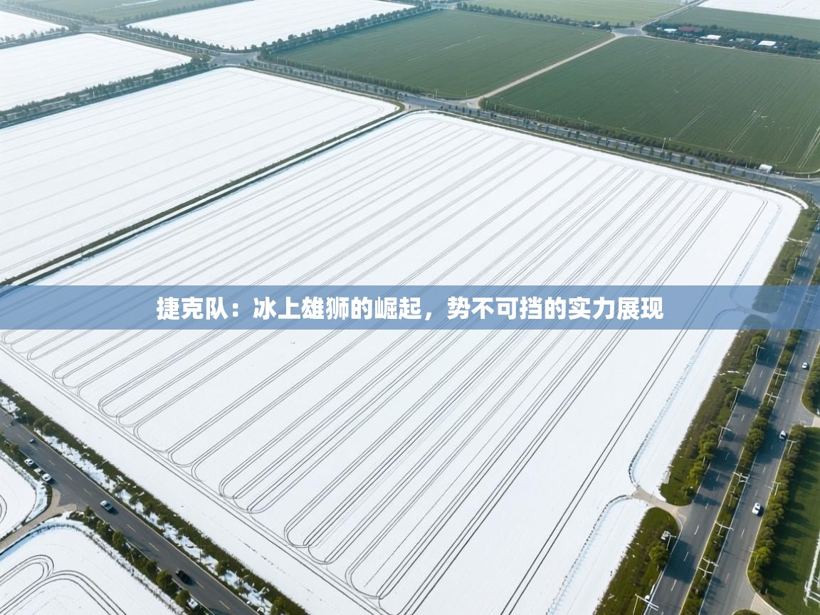 捷克队：冰上雄狮的崛起，势不可挡的实力展现  第2张