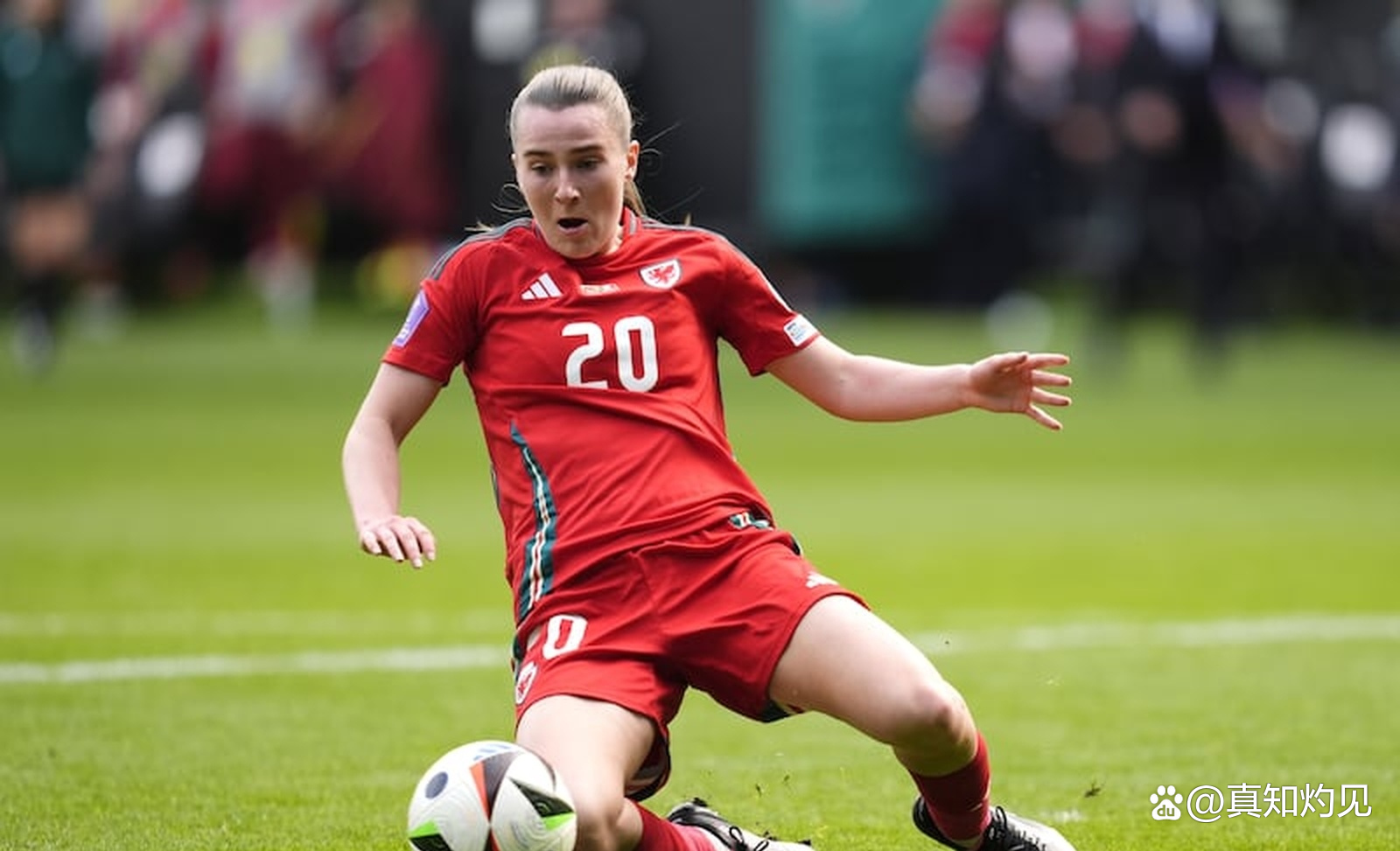 瑞士队在欧锦赛预选赛中击败对手 瑞士队在欧锦赛预选赛中击败对手