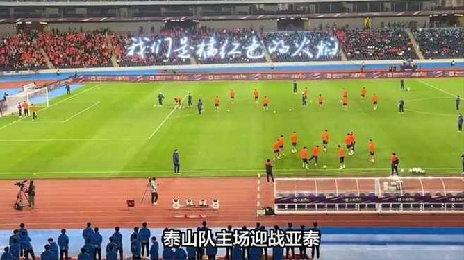 爱游戏培训-鲁能主场对阵泰达,全力保级追赶的简单介绍